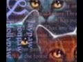 Warriors-HeatherPaw-Decode