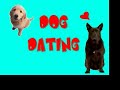 Dog Dating Dog Dating