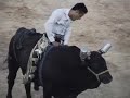 Huitzuco, Toros Julio 2008 part 1 Huitzuco, Toros Julio 2008 part 1