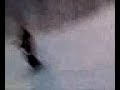 Ski Wipeout on Box Rail 2