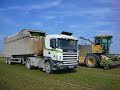 ensilage luzerne dans la marne ensilage luzerne dans la marne