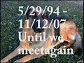Donkey Memorial 5/29/94-11/12/07 Donkey Memorial 5/29/94-11/12/07