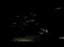 the Brainhole - Nothing (trailer) the Brainhole - Nothing (trailer)