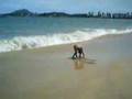 Skimboard e Skimdisc em Camburi ( Vitória-ES )