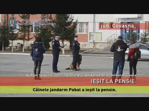 Câinele jandarm Pabal a ieşit la pensie
