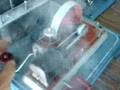 wilesco D 20