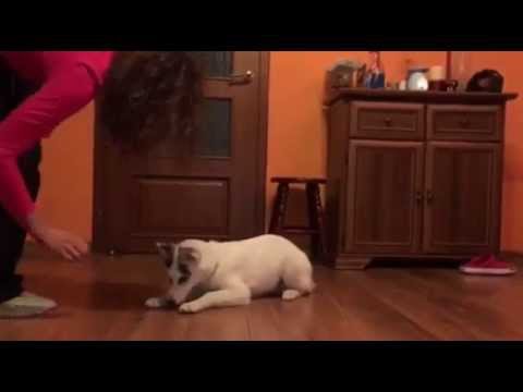 YouTube Preview Image