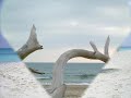 EL MARINO MUSIQUE EL MARINO MUSIQUE