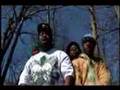 TDS  VIDEO