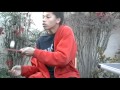 Click here to watch this video Caleb Was Here (2009)