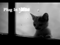 Mid project 6 Plugin
