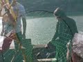 Crabbing Prologue