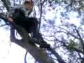Tommy Jumping Of A Tree! ! ! (Lmao)