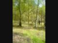 submitted video April 23rd 2009
