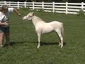 Iona Farm's Wish List