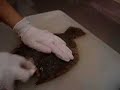 Jessalyn Beatty Cleaning Flounder