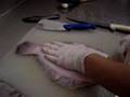 Jessalyn Beatty Cleaning Flounder
