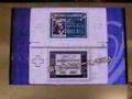 TGS 2006 SNKプレイモアブース NINTENDO DSタイトル紹介