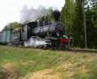 Jokioinen Museum Railway - Wood power