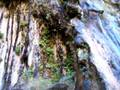 videos de Zion National Park in Utah Weeping Rock Trail