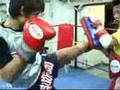 Muay-Thai-The-Amateu