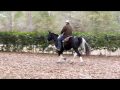 Lightening - 3 yr. old SSH