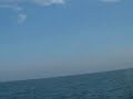 Fighting a Large Sailfish in Phuket Thailand. Fighting a Large Sailfish in Phuket Thailand.