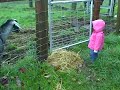 my niece the tease