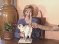 attaining-optimal-health-in-the-21st-century.html