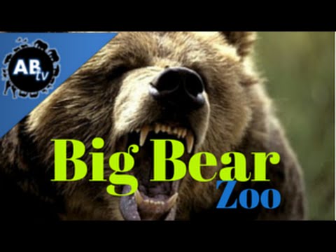 YouTube reptile video