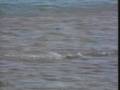 videos de The Wildlife and Scenery of Europe  Part 01