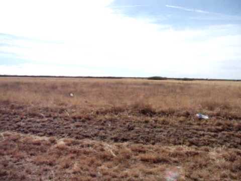 20 acres Quanah, TX