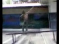 mhaw AOC skatecrew