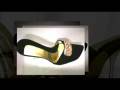 videos de animoto_video 2.mp4 Mauro Zecchini