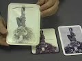 Bea Nettles & Her Mountain Dream Tarot Bea Nettles & Her Mountain Dream Tarot
