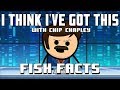 I Think I've Got This With Chip Chapley - Epis
