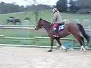 orfee au boulot orfee au boulot