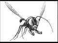 LOST TAPES: Alien Creature Profile