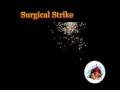 videos de Surgical Strike Firework