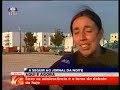 Cão De Água Português