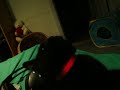 fighting with my sisters cat!! fighting with my sisters cat!!
