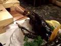 Pinchy # 2