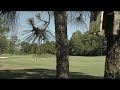 Myrtle Beach Golf Holiday - Wild Wing