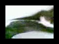 xoñando con cristtyspain   el gato    emo 