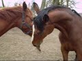 Ch?opaki^^ Ch?opaki^^