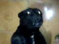 videos de MOV00003.3gp