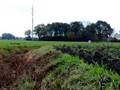 videos de crossen sinderen