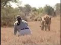 Mad Mike faces a lioness man v lion with a toilet roll, tiger