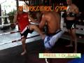 Techniques from Burklerk