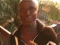 the-fruit-bat-and-the-cotton-tree.html